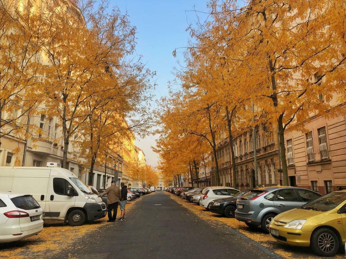 Appartamento Bohemian - Velehradska
