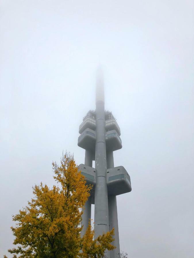 Bohemian - Velehradska